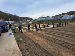딸기20678김연길님의 자유주제 · 사진전 작성글 사진