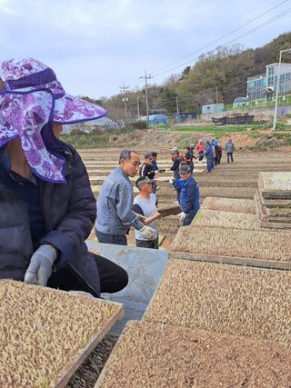 딸기20678김연길님의 자유주제 · 사진전 작성글 사진