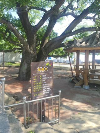 베리딱좋아님의 기타작물 · 자유게시판 작성글 사진