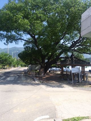 베리딱좋아님의 기타작물 · 자유게시판 작성글 사진