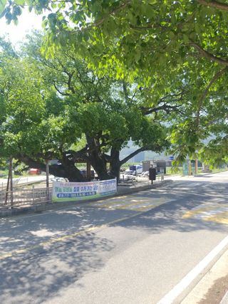 베리딱좋아님의 기타작물 · 자유게시판 작성글 사진