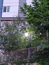 팜모닝 자유주제·사진전 게시글 이미지