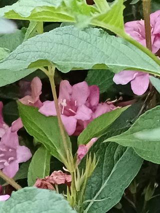 연옥님의 자유주제 · 사진전 작성글 사진