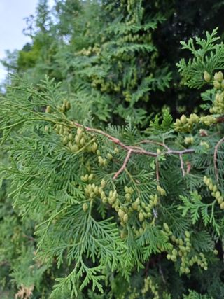 연옥님의 자유주제 · 사진전 작성글 사진