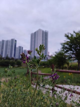 연옥님의 자유주제 · 사진전 작성글 사진
