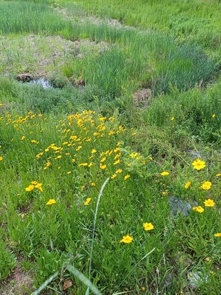 연옥님의 자유주제 · 사진전 작성글 사진