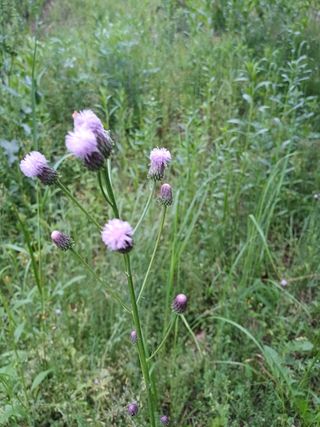 연옥님의 자유주제 · 사진전 작성글 사진