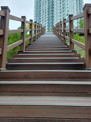 연옥님의 자유주제 · 사진전 작성글 사진