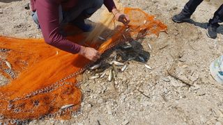 예산 촌딱 농부님의 자유주제 · 사진전 작성글 사진