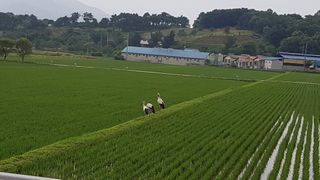 예산 촌딱 농부님의 자유주제 · 사진전 작성글 사진
