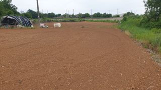 김영준님의 기타작물 · 자유게시판 작성글 사진