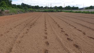 김영준님의 기타작물 · 자유게시판 작성글 사진