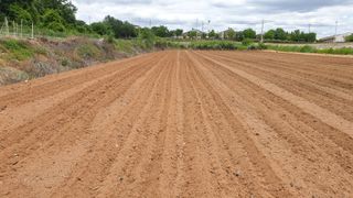 김영준님의 기타작물 · 자유게시판 작성글 사진