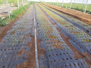 이현주님의 자유주제 · 자유게시판 작성글 사진