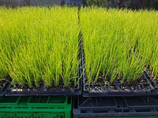 이현주님의 자유주제 · 자유게시판 작성글 사진