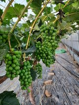 팜모닝 자유주제·사진전 게시글 이미지