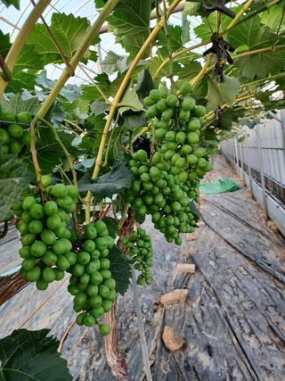 벼17774님의 자유주제 · 사진전 작성글 사진