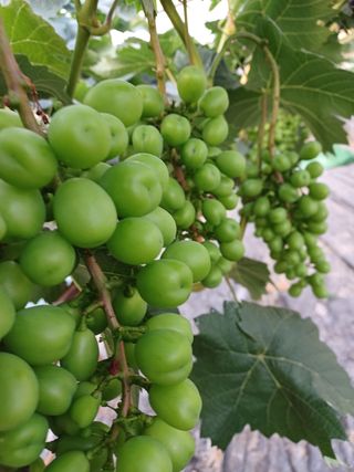 벼17774님의 자유주제 · 사진전 작성글 사진