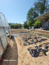 팜모닝 자유주제·사진전 게시글 이미지