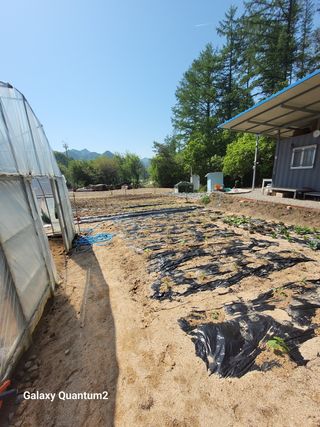 우리농장님의 자유주제 · 사진전 작성글 사진