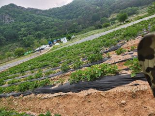 이한희님의 자유주제 · 사진전 작성글 사진