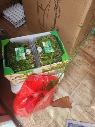 이한희님의 자유주제 · 사진전 작성글 사진