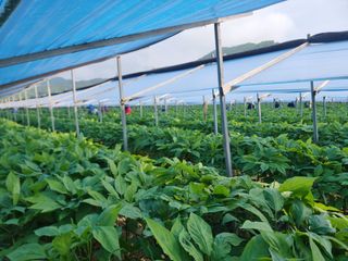 심상진님의 자유주제 · 사진전 작성글 사진