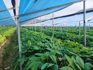 심상진님의 자유주제 · 사진전 작성글 사진