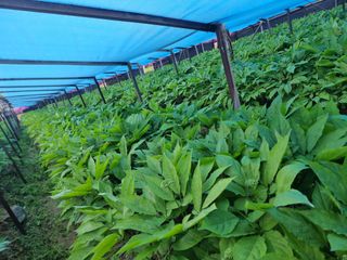 심상진님의 자유주제 · 사진전 작성글 사진