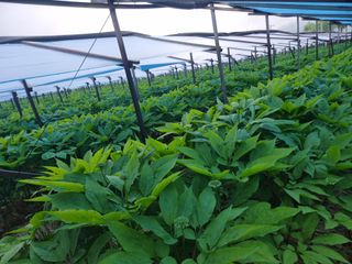 심상진님의 자유주제 · 사진전 작성글 사진