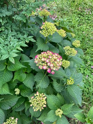 장기범님의 자유주제 · 사진전 작성글 사진