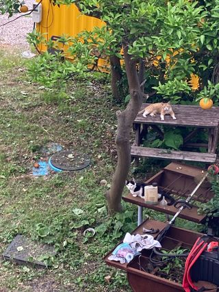 장기범님의 자유주제 · 사진전 작성글 사진