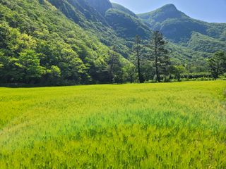 고영환님의 우리동네 · 동네자랑 작성글 사진