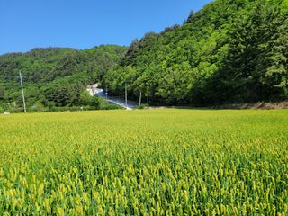 고영환님의 우리동네 · 동네자랑 작성글 사진