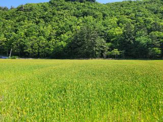 고영환님의 우리동네 · 동네자랑 작성글 사진