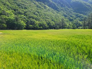 고영환님의 우리동네 · 동네자랑 작성글 사진