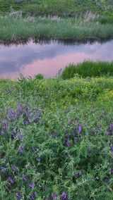 팜모닝 자유주제·사진전 게시글 이미지