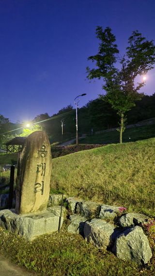 김정원님의 자유주제 · 사진전 작성글 사진