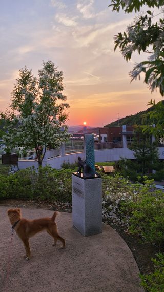 김정원님의 자유주제 · 사진전 작성글 사진