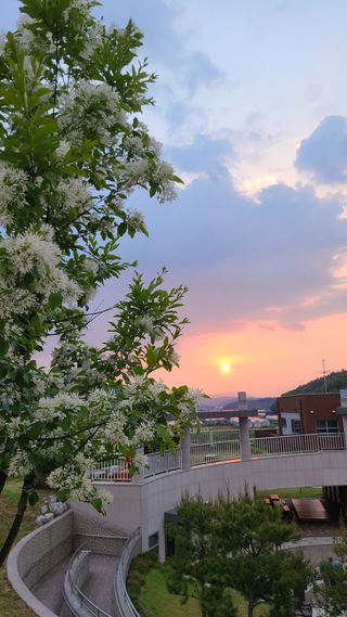 김정원님의 자유주제 · 사진전 작성글 사진