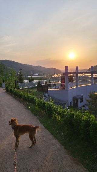 김정원님의 자유주제 · 사진전 작성글 사진