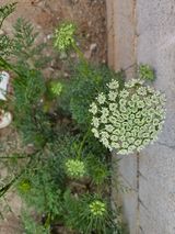 팜모닝 자유주제·자유게시판 게시글 이미지