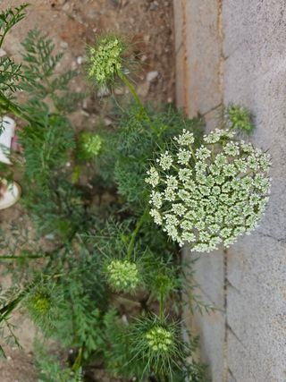 심경자님의 자유주제 · 자유게시판 작성글 사진