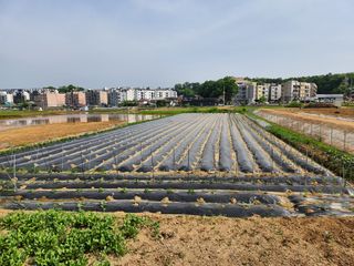에바다님의 자유주제 · 자유게시판 작성글 사진