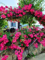 팜모닝 자유주제·사진전 게시글 이미지