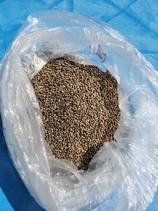 행복농원님의 들깨 · 자유게시판 작성글 사진