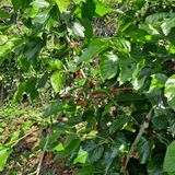 팜모닝 자유주제·자유게시판 게시글 이미지