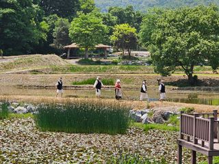 양철주님의 우리동네 · 동네자랑 작성글 사진
