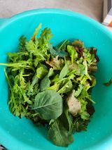 팜모닝 자유주제·자유게시판 게시글 이미지