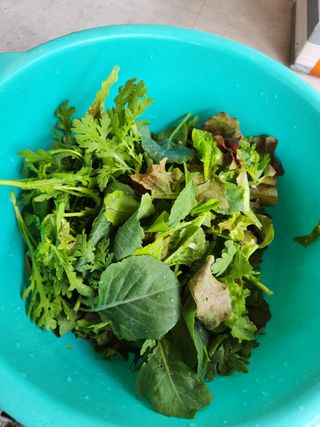 그린뉴딜님의 자유주제 · 자유게시판 작성글 사진